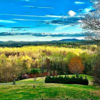 Notes from the Rapp – Featuring commentary on our country, and the ...