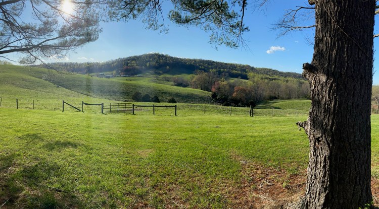 THE FIRST NOTE – Notes from the Rapp